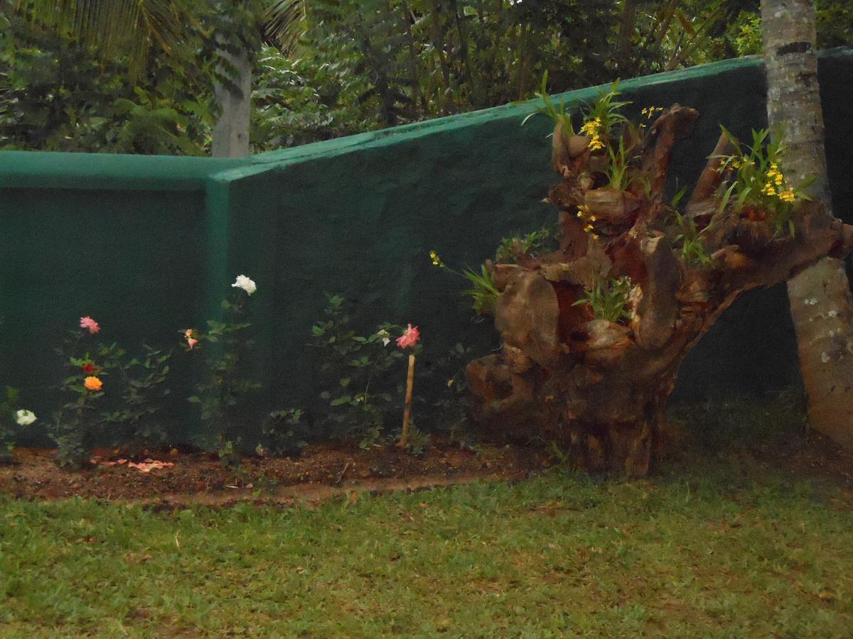 Lavender Hills Home Stay Kandy Buitenkant foto